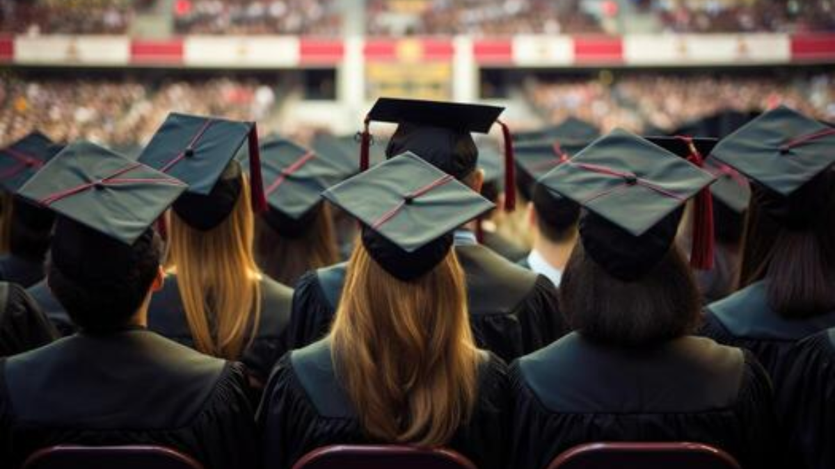 Undergraduate Program